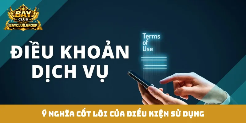 Ý nghĩa cốt lõi của điều kiện sử dụng