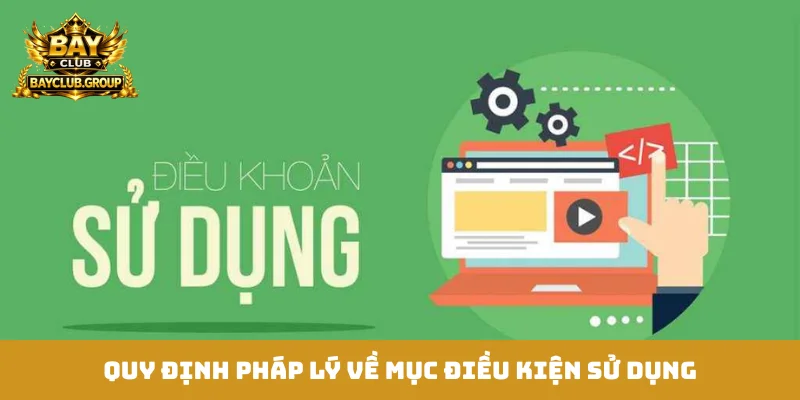 Quy định pháp lý về mục điều kiện sử dụng